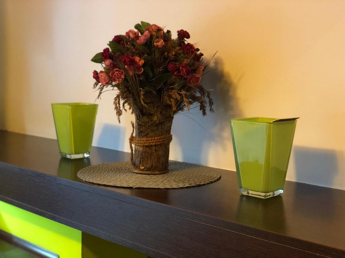 Apartament Jagiellonska 索斯诺维茨 外观 照片