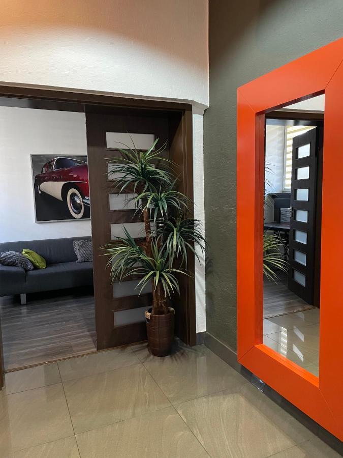 Apartament Jagiellonska 索斯诺维茨 外观 照片